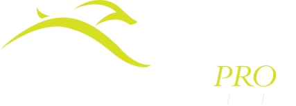 Gazelle Pro